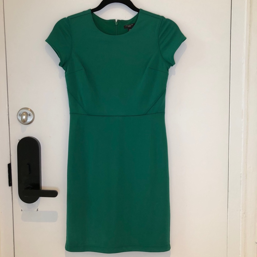 Ann Taylor Dress